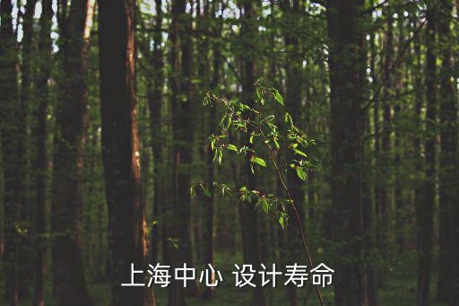 上海中心 設計壽命
