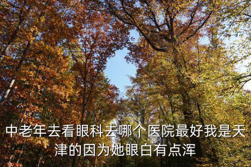 中老年去看眼科去哪個(gè)醫(yī)院最好我是天津的因?yàn)樗郯子悬c(diǎn)渾