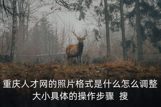 重慶人才網的照片格式是什么怎么調整大小具體的操作步驟  搜