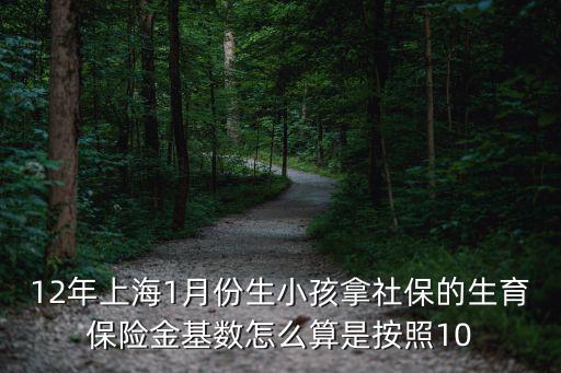 12年上海1月份生小孩拿社保的生育保險金基數怎么算是按照10