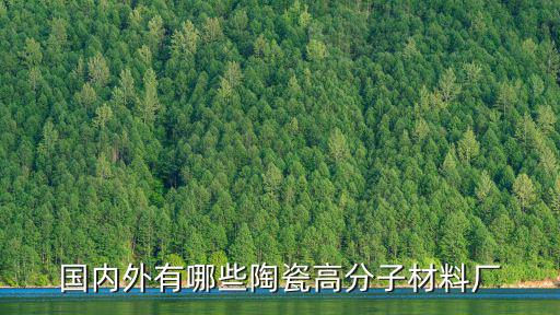 國內外有哪些陶瓷高分子材料廠