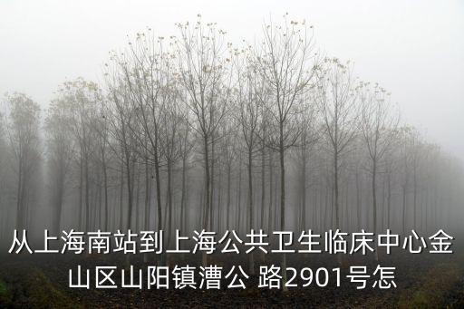 從上海南站到上海公共衛生臨床中心金山區山陽鎮漕公 路2901號怎