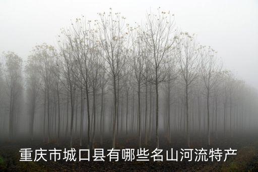 重慶市城口縣有哪些名山河流特產(chǎn)