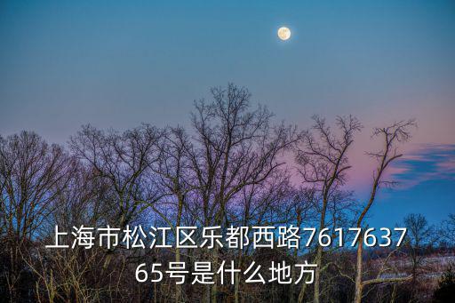 上海市松江區樂都西路761763765號是什么地方