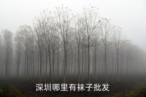深圳哪里有襪子批發
