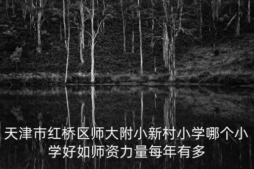 天津市紅橋區(qū)師大附小新村小學(xué)哪個(gè)小學(xué)好如師資力量每年有多