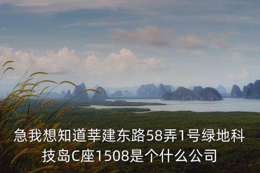 急我想知道莘建東路58弄1號(hào)綠地科技島C座1508是個(gè)什么公司