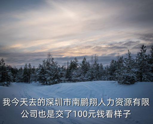 我今天去的深圳市南鵬翔人力資源有限公司也是交了100元錢看樣子
