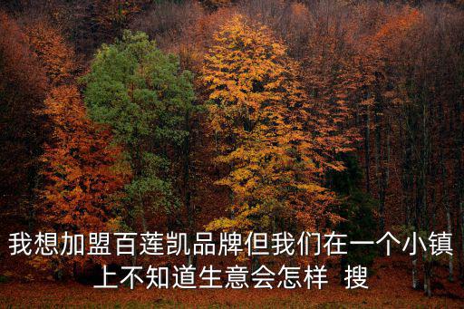 我想加盟百蓮凱品牌但我們在一個小鎮上不知道生意會怎樣  搜