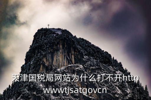 天津國(guó)稅局網(wǎng)站為什么打不開httpwwwtjsatgovcn