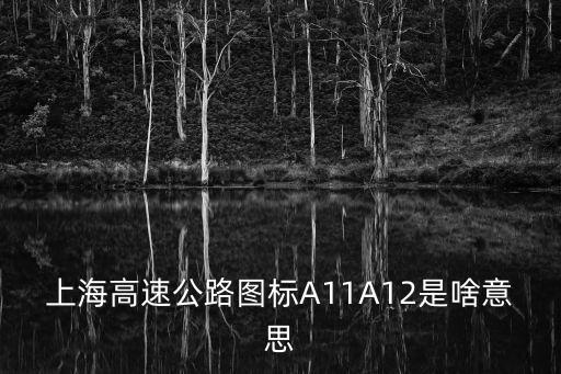 上海高速公路圖標A11A12是啥意思