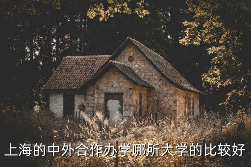 上海的中外合作辦學哪所大學的比較好