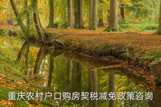 重慶農村戶口購房契稅減免政策咨詢
