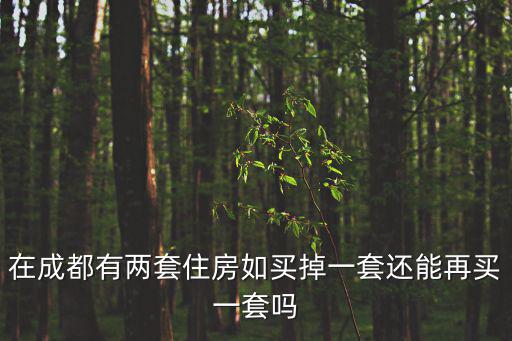 在成都有兩套住房如買掉一套還能再買一套嗎