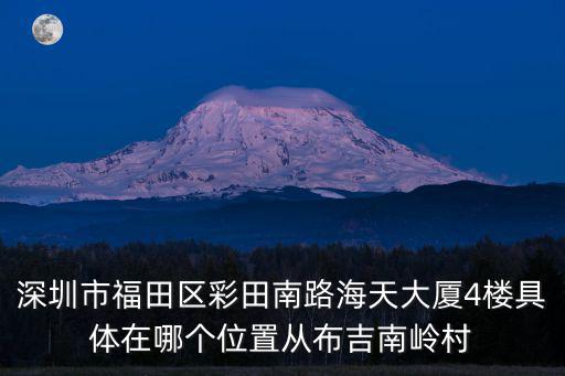 深圳市福田區彩田南路海天大廈4樓具體在哪個位置從布吉南嶺村