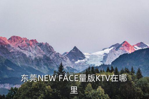 東莞NEW FACE量版KTV在哪里