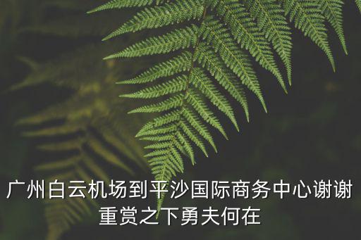 廣州方龍貿易有限公司，深圳寶安哪賣商鋪阿