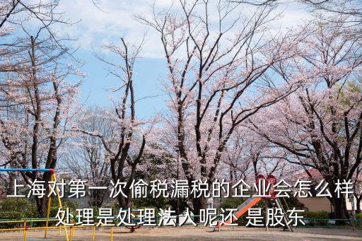 上海對第一次偷稅漏稅的企業會怎么樣處理是處理法人呢還 是股東