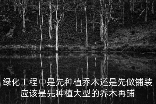 綠化工程中是先種植喬木還是先做鋪裝應該是先種植大型的喬木再鋪