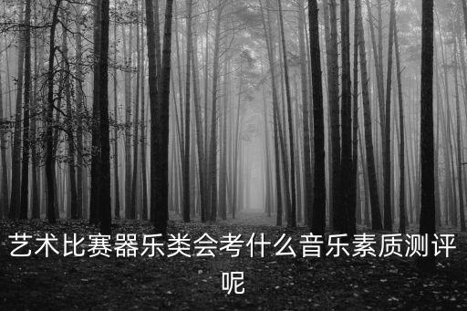 藝術比賽器樂類會考什么音樂素質測評呢