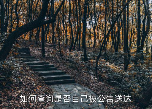 如何查詢是否自己被公告送達