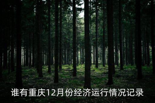 誰有重慶12月份經濟運行情況記錄