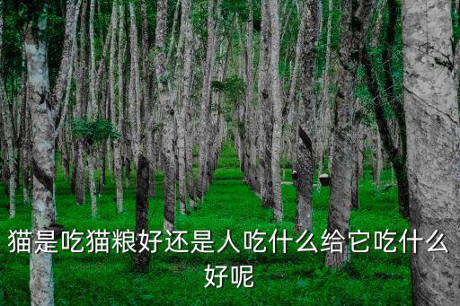 貓是吃貓糧好還是人吃什么給它吃什么好呢