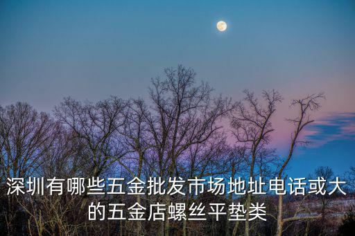 深圳有哪些五金批發市場地址電話或大的五金店螺絲平墊類