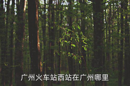 廣州火車站西站在廣州哪里