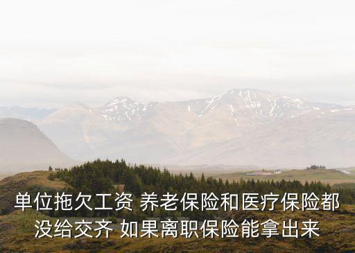 單位拖欠工資 養老保險和醫療保險都沒給交齊 如果離職保險能拿出來