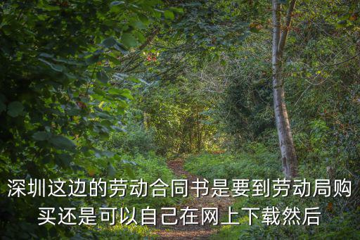 深圳這邊的勞動合同書是要到勞動局購買還是可以自己在網(wǎng)上下載然后