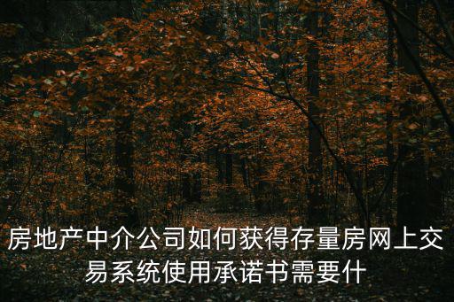 廣州市存量房網上交易管理系統，房地產中介公司如何獲得存量房網上交易系統使用承諾書需要什