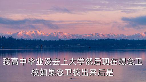 我高中畢業沒去上大學然后現在想念衛校如果念衛校出來后是