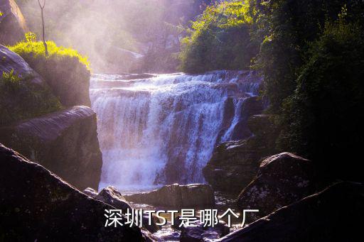 深圳TST是哪個廠