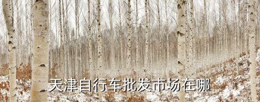 天津自行車批發市場在哪