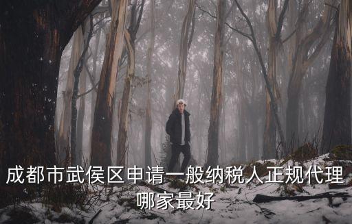 成都市武侯區(qū)申請(qǐng)一般納稅人正規(guī)代理哪家最好