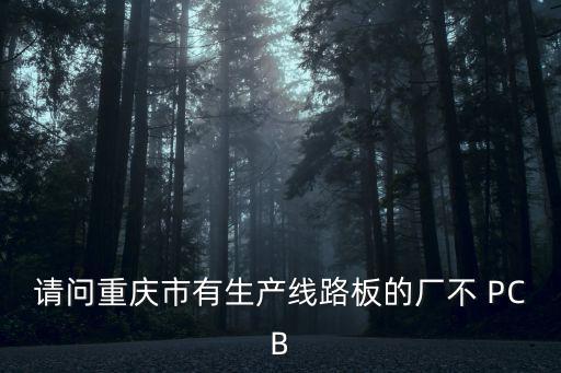 請(qǐng)問重慶市有生產(chǎn)線路板的廠不 PCB