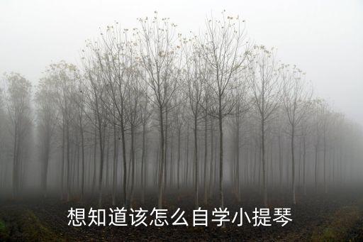 想知道該怎么自學(xué)小提琴