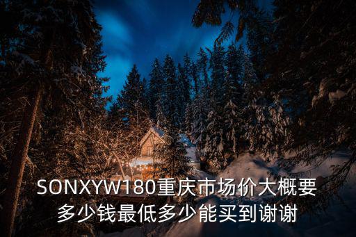 SONXYW180重慶市場價大概要多少錢最低多少能買到謝謝