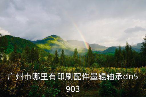 廣州市哪里有印刷配件墨輥軸承dn5903