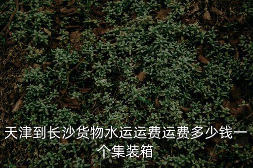 天津到長沙貨物水運(yùn)運(yùn)費(fèi)運(yùn)費(fèi)多少錢一個(gè)集裝箱