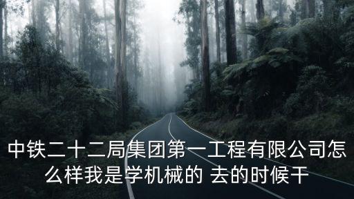 重慶市中鐵二十二局，中鐵二十二局集團第一工程有限公司怎么樣我是學機械的 去的時候干