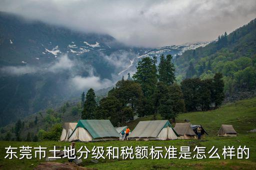 東莞集體土地入市，農村集體土地入市是甚么意思