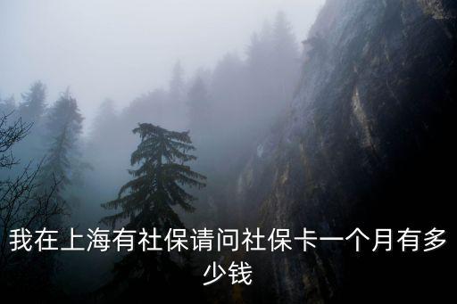 我在上海有社保請問社保卡一個月有多少錢