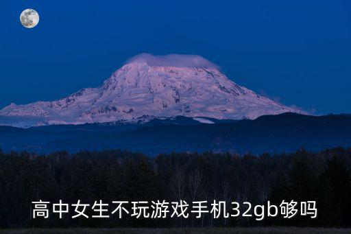 高中女生不玩游戲手機32gb夠嗎