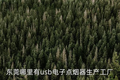 東莞哪里有usb電子點煙器生產工廠