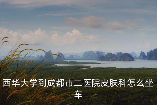 西華大學到成都市二醫(yī)院皮膚科怎么坐車