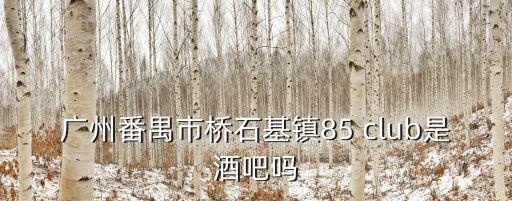 廣州安第斯薯吧，廣州番禺市橋石基鎮85 club是酒吧嗎