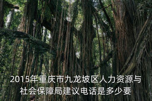 2015年重慶市九龍坡區人力資源與社會保障局建議電話是多少要