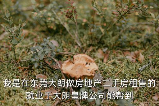 東莞皇信咨詢有限公司怎么樣，東莞市愛信信息技術有限公司怎么樣